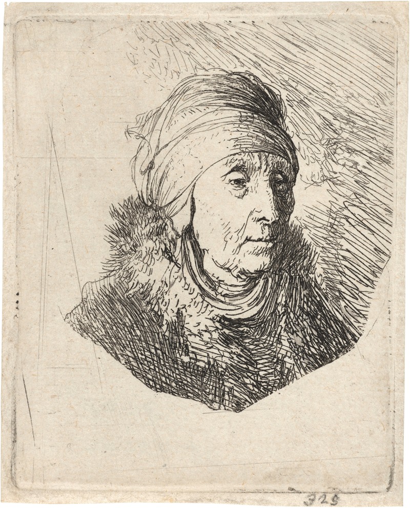 Rembrandt van Rijn - A Woman with a High Headdress