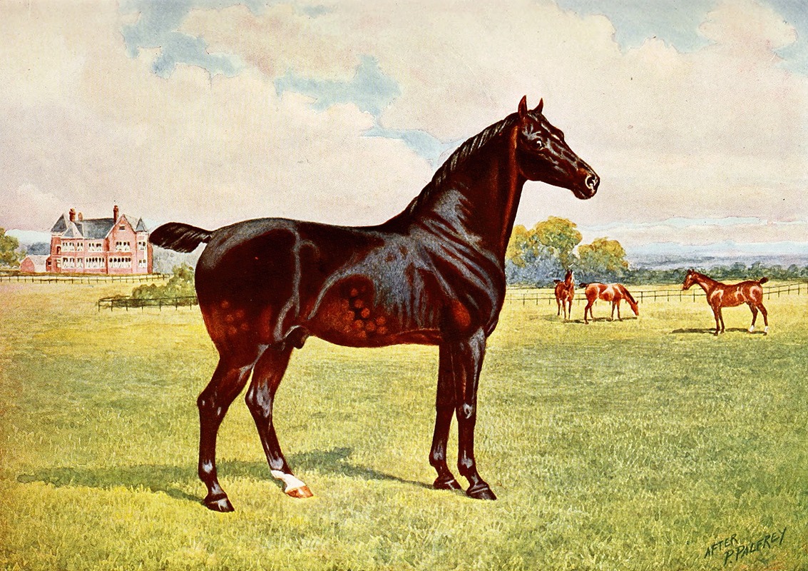 After Penry Powell Palfrey - Dual Champion Pony Stallion, Berkeley Model