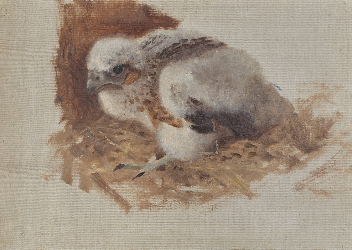 Bruno Liljefors - Detail Study of a Peregrine Falcon’s Nest