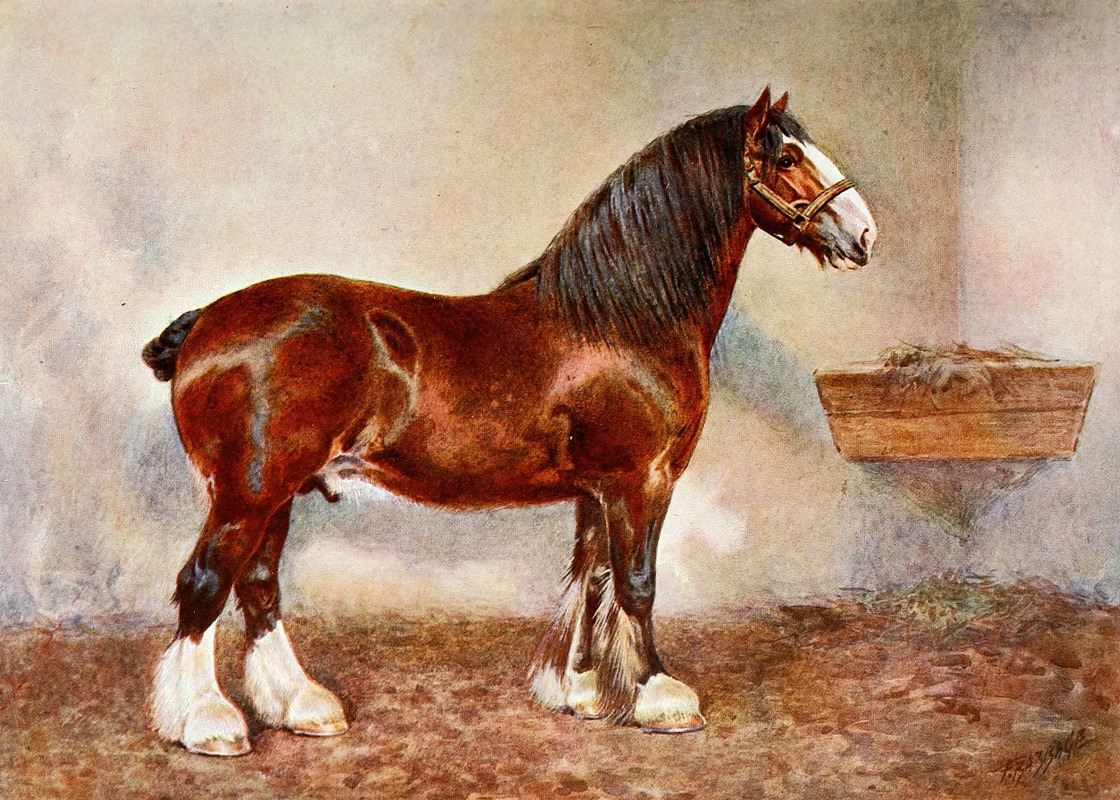 Frank Babbage - Clydesdale Stallion, Prince of Albion