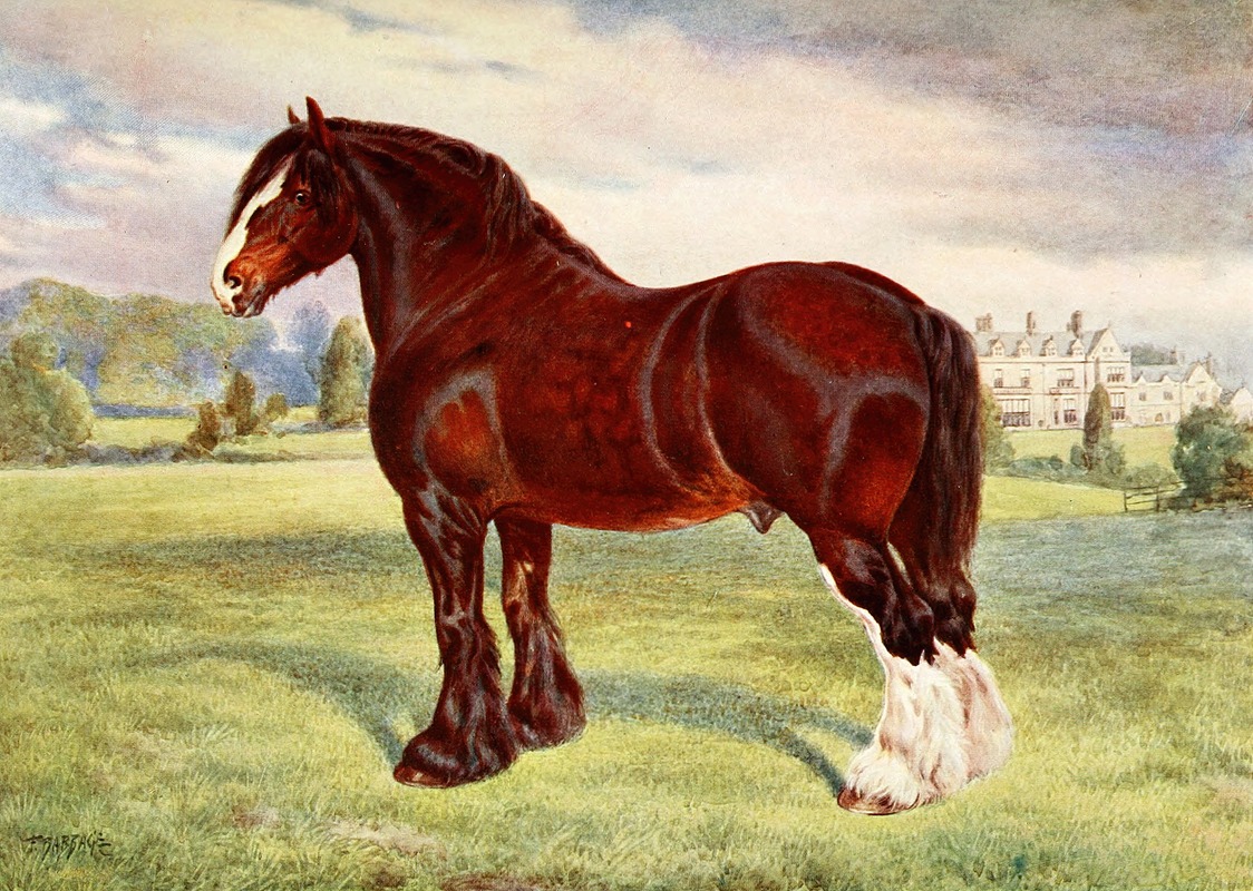 Frank Babbage - Shire Stallion, Harold