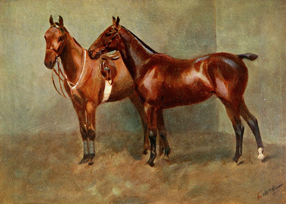 Frederic Whiting - Polo Ponies, Romany And Tith, Owned By Sir J. Barker