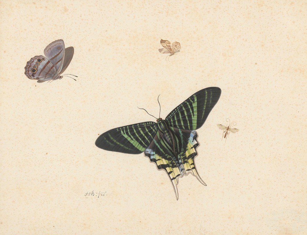 Herman Henstenburgh - Drie vlinders en een wesp of vlieg