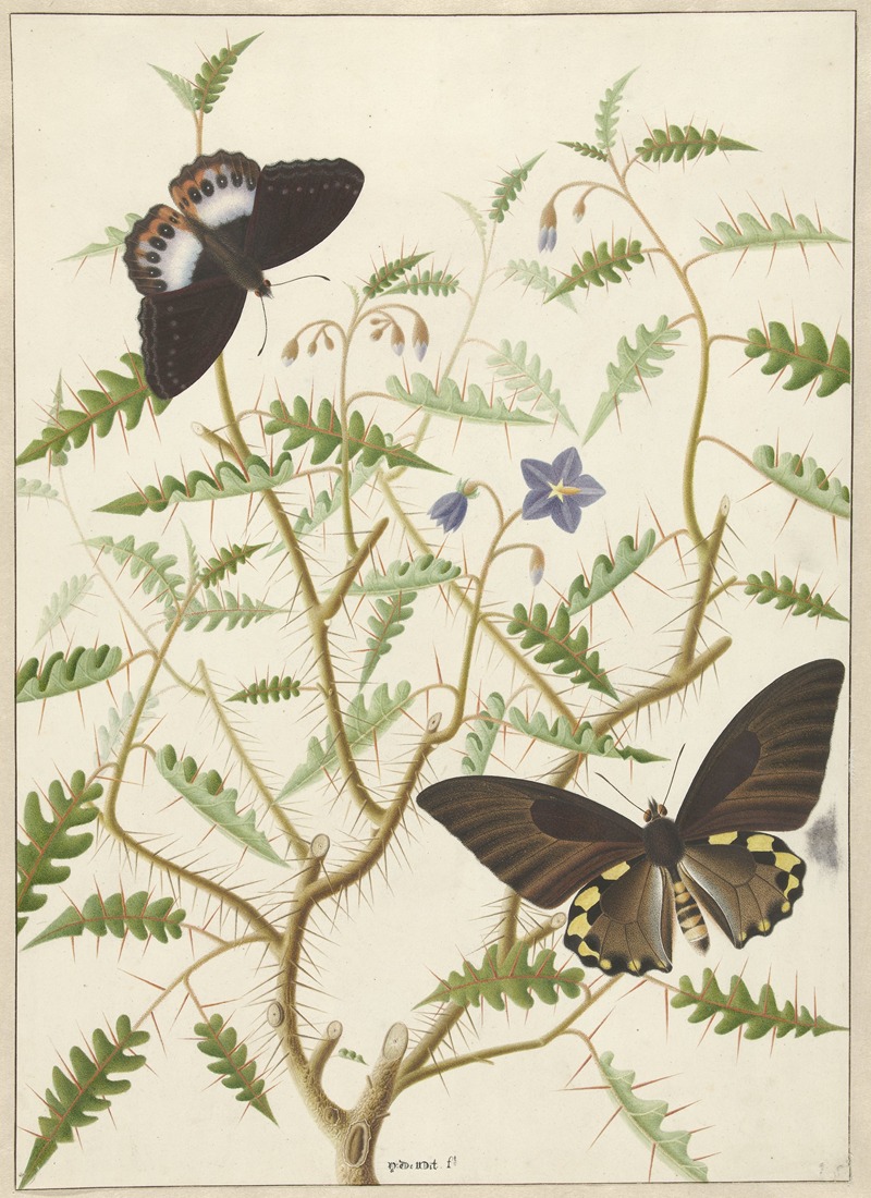 Hermanus de Wit - Een bloesemende struik met twee uitheemse vlinders