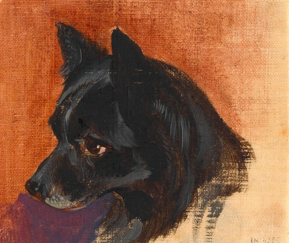 Johann Matthias Ranftl - Kopf eines kleinen schwarzen Hundes