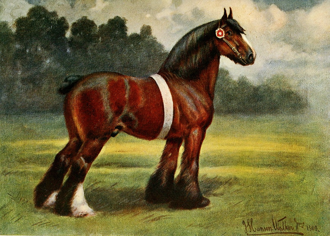 John Hanson Walker Jr. - Shire Stallion, Halstead Royal Duke