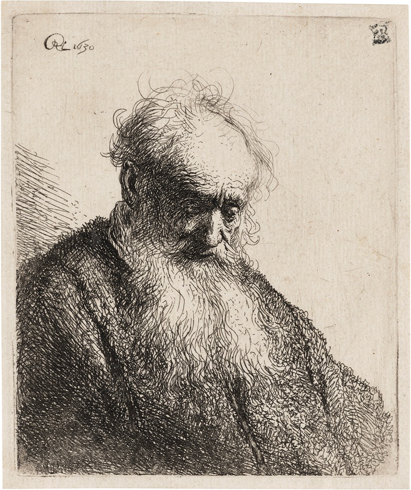 Rembrandt van Rijn - Old Man with a flowing Beard