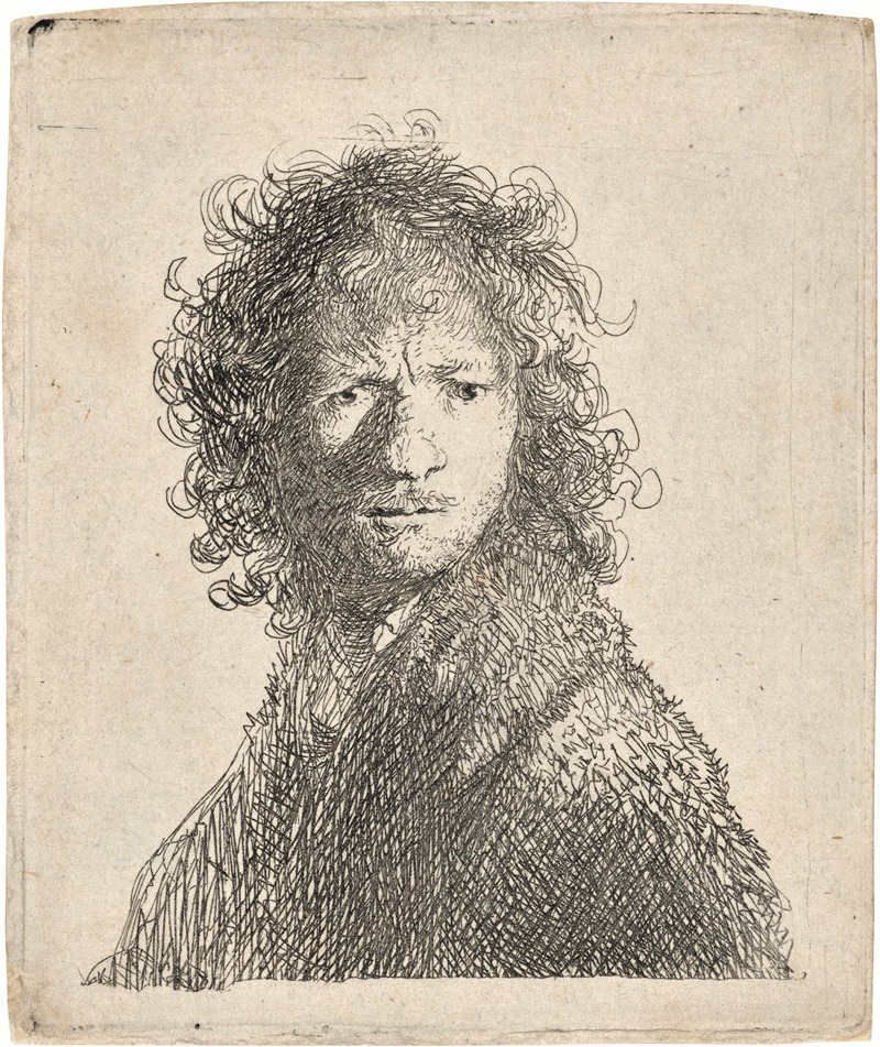Rembrandt van Rijn - Self-Portrait, frowning: Bust
