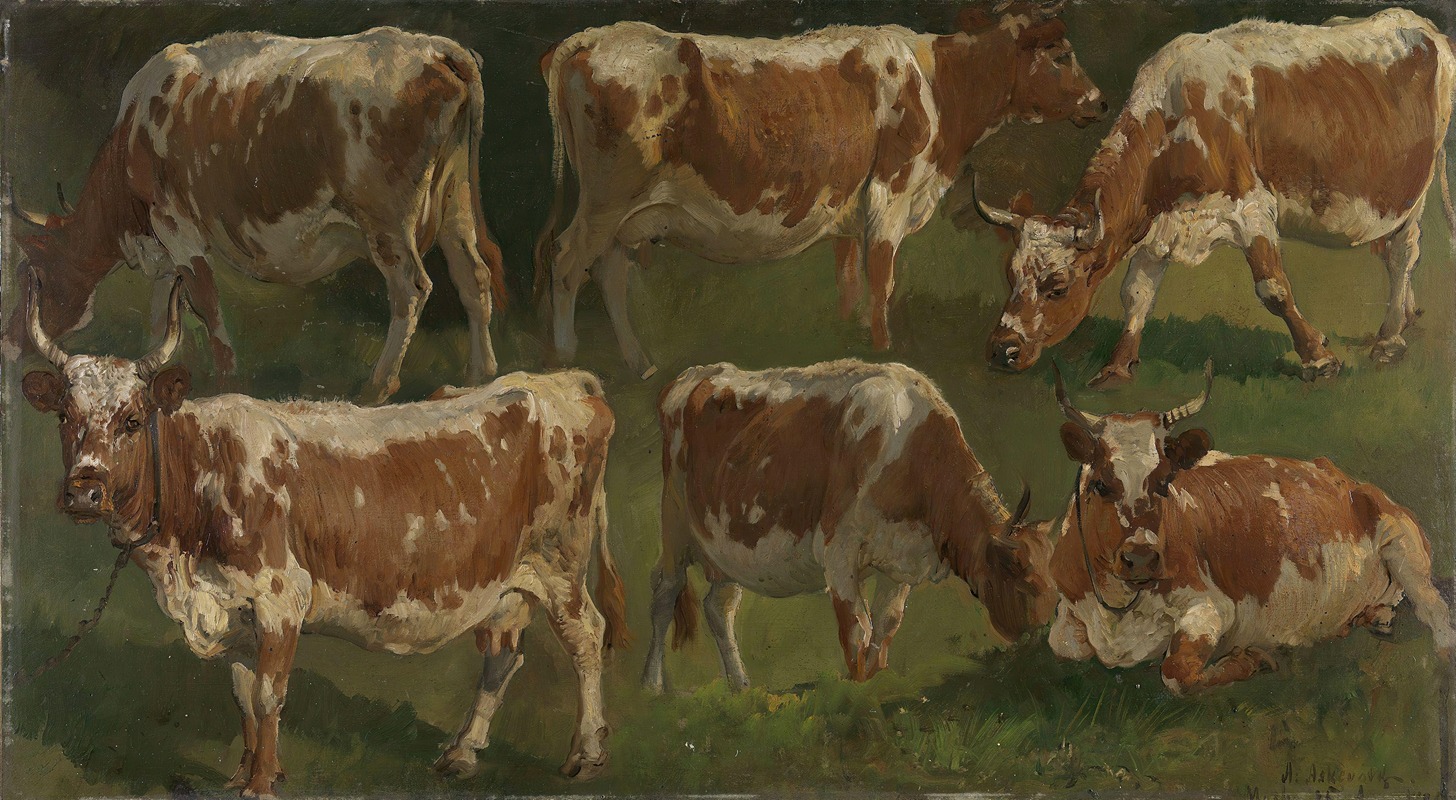Anders Askevold - Study of Cows