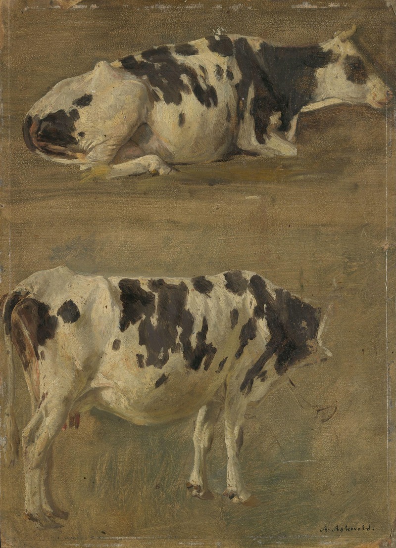 Anders Askevold - Study of two Cows