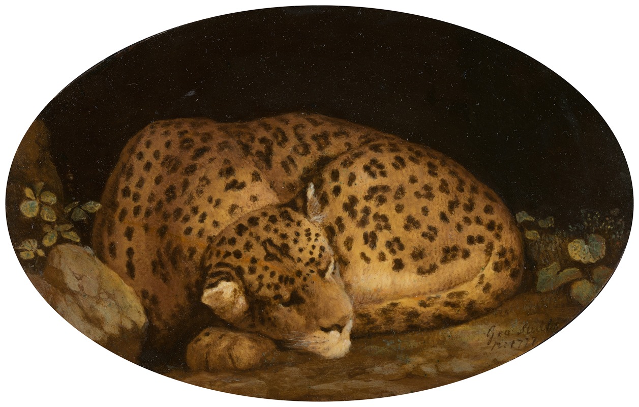 George Stubbs - Sleeping Leopard