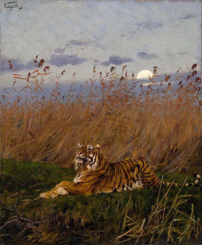 Geza Vastagh - A Tiger Among Rushes In The Moonlight