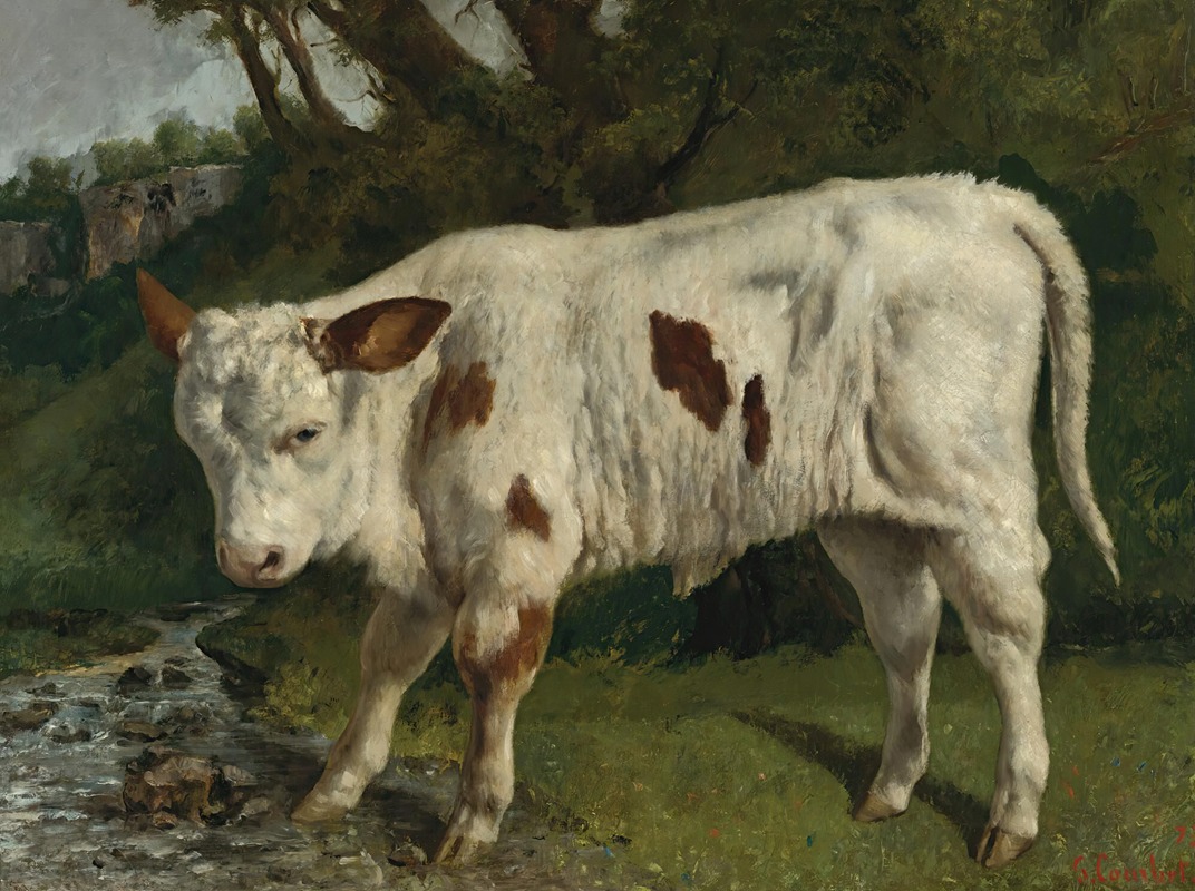Gustave Courbet - Le Veau Blanc