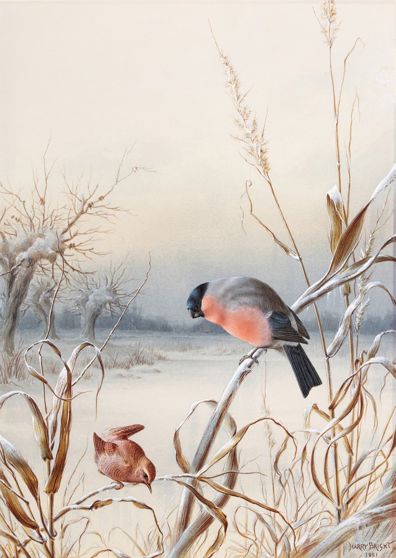Harry Bright - Winter – A Cock Bullfinch and Wren