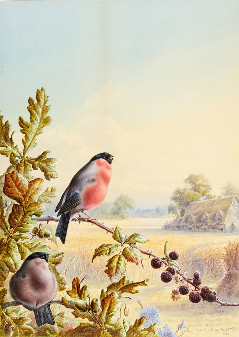 Harry Bright - Summer – A Pair of Bullfinch