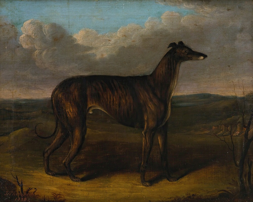 J. Thompson - The Sultan; A Greyhound