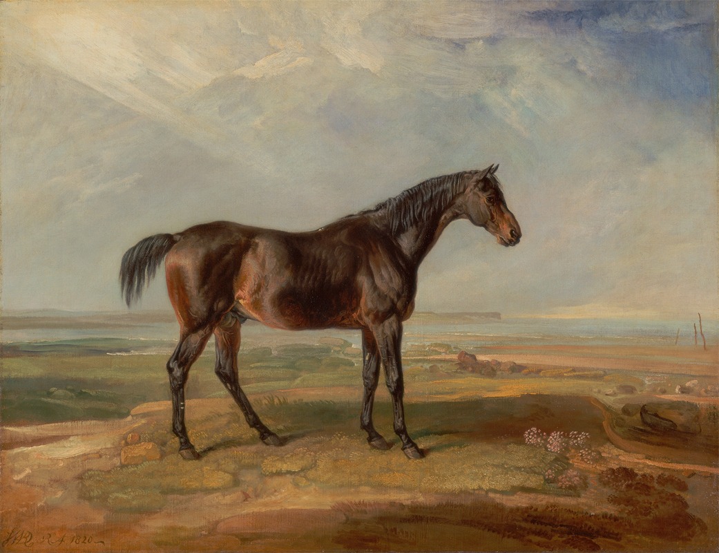James Ward - Dr. Syntax, a Bay Racehorse, Standing in a Coastal Landscape, an Estuary Beyond