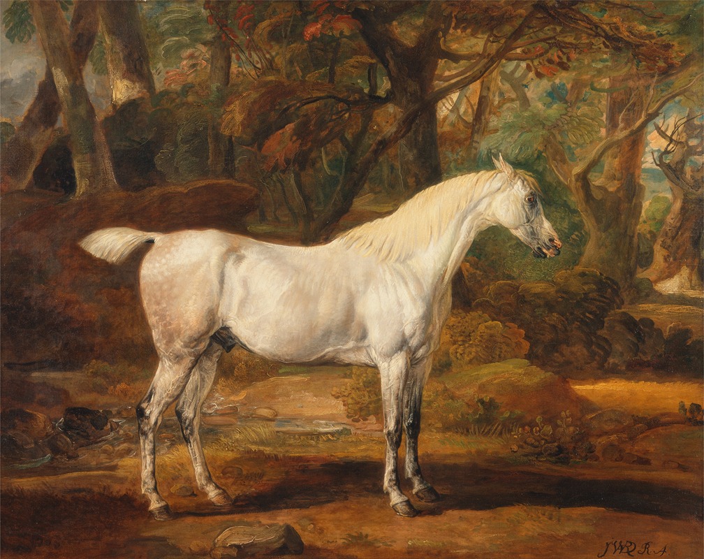 James Ward - Grey Arabian stallion, the property of Sir Watkin Williams-Wynn