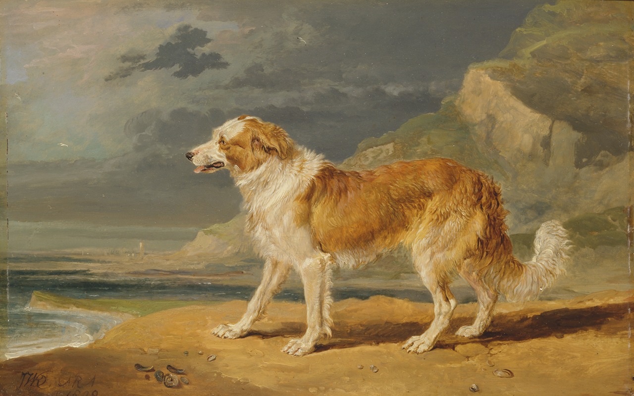 James Ward - Rough-Coated Collie