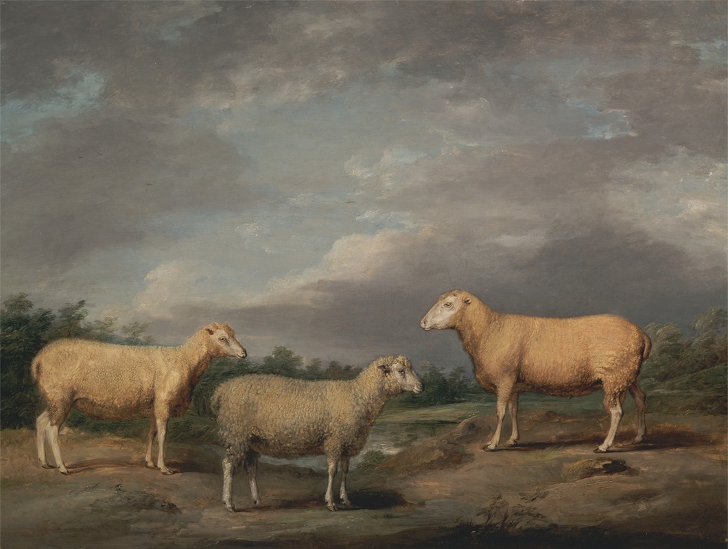 James Ward - Ryelands Sheep, the King’s Ram, the King’s Ewe and Lord Somerville’s Wether