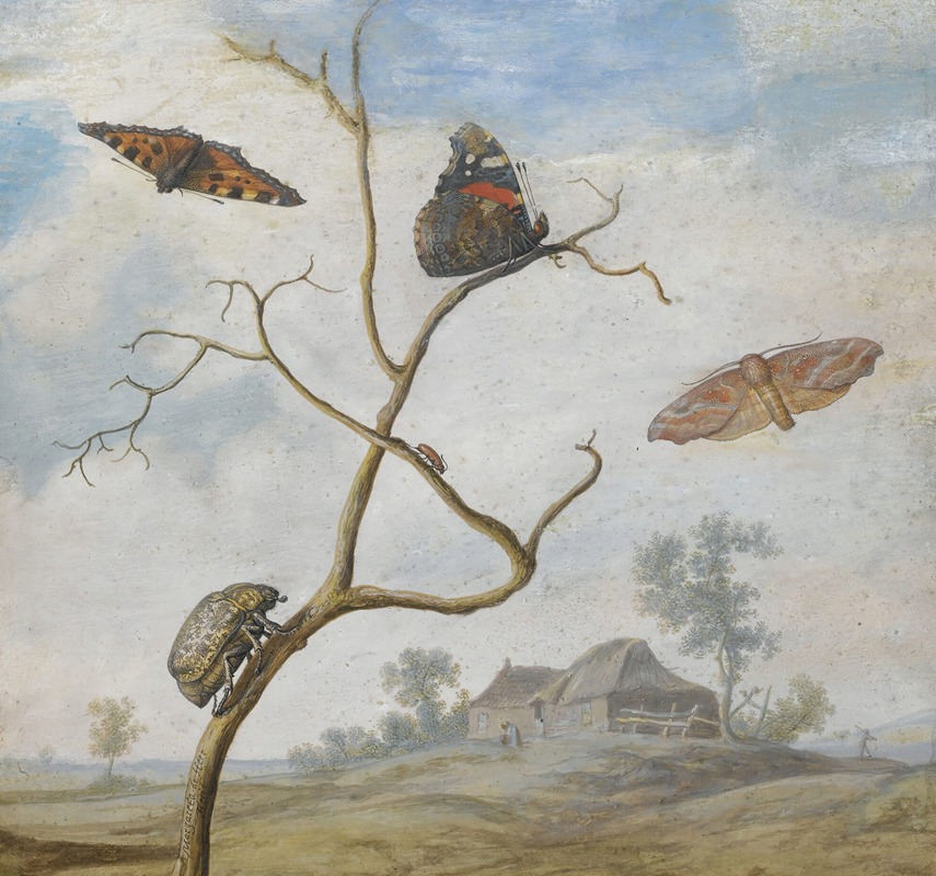 Margareta de Heer - A Cockchafer On A Branch, Two Butterflies, A Moth And A Small Beetle Above, And A Landscape Behind