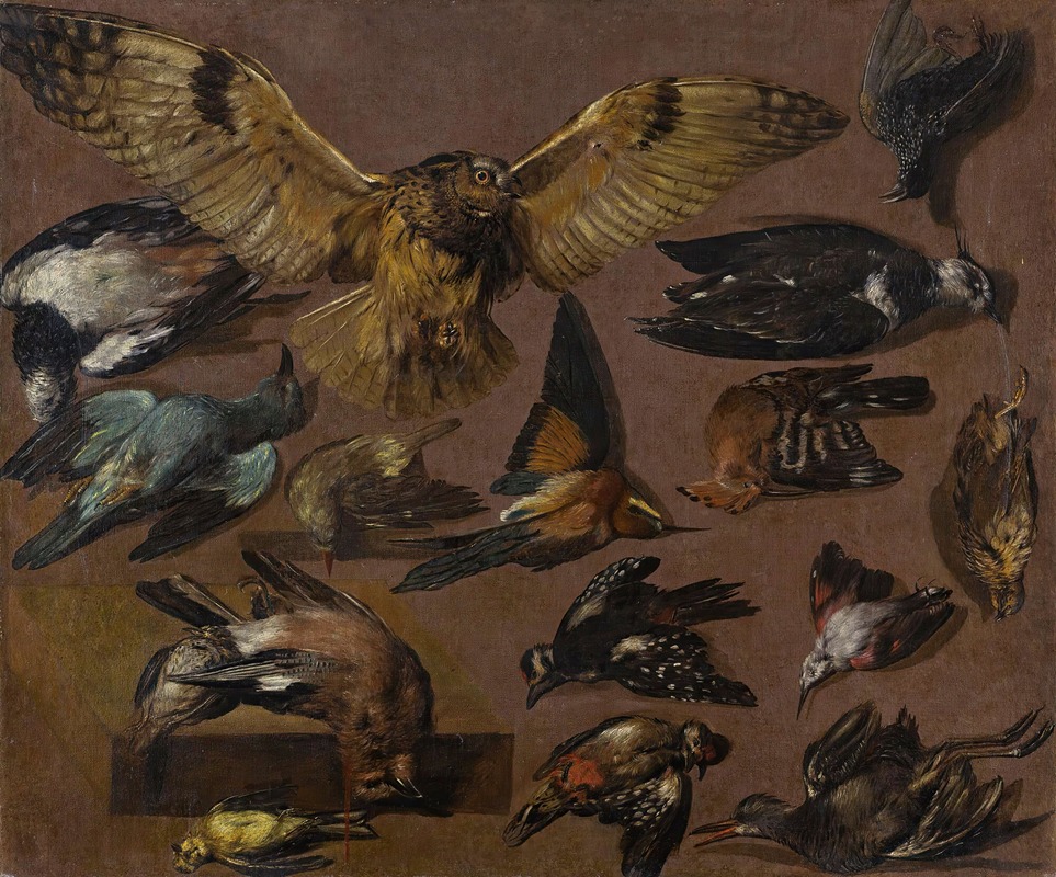 Pieter Boel - Studies Of An Owl And Other Birds