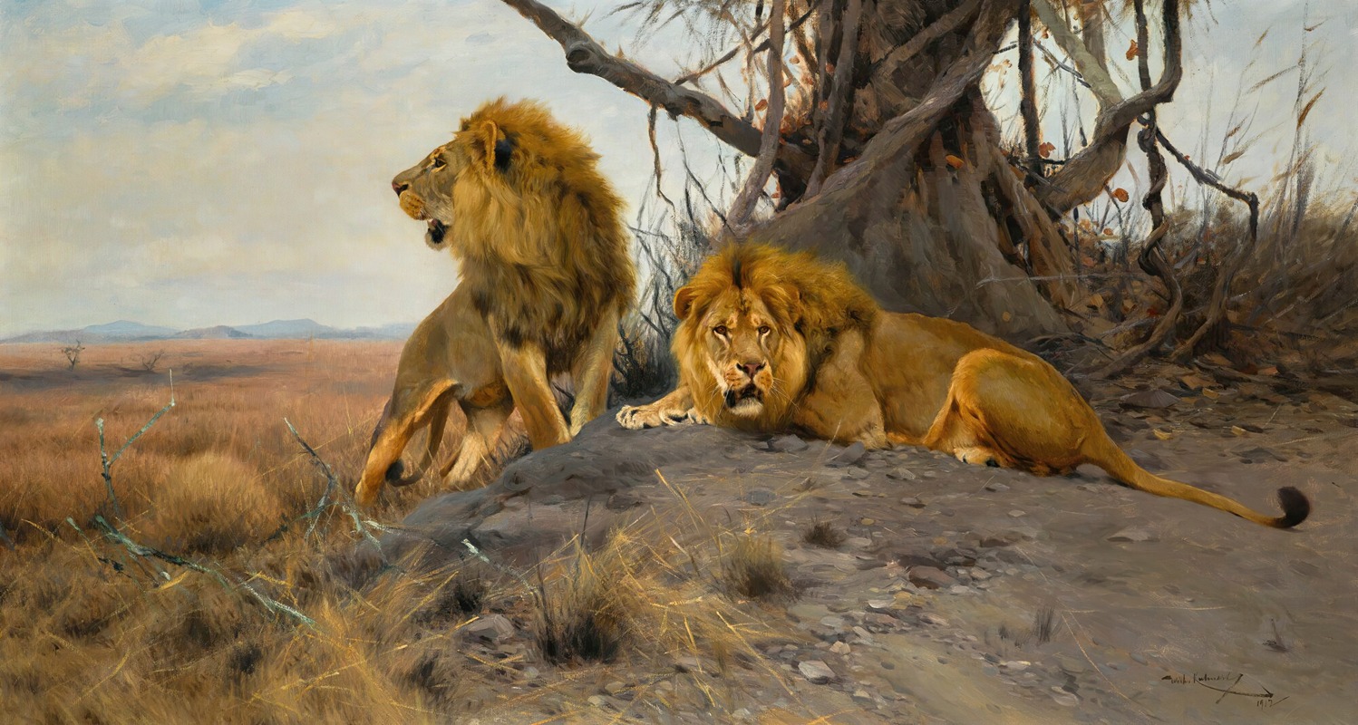 Wilhelm Kuhnert - Grollende Löwen