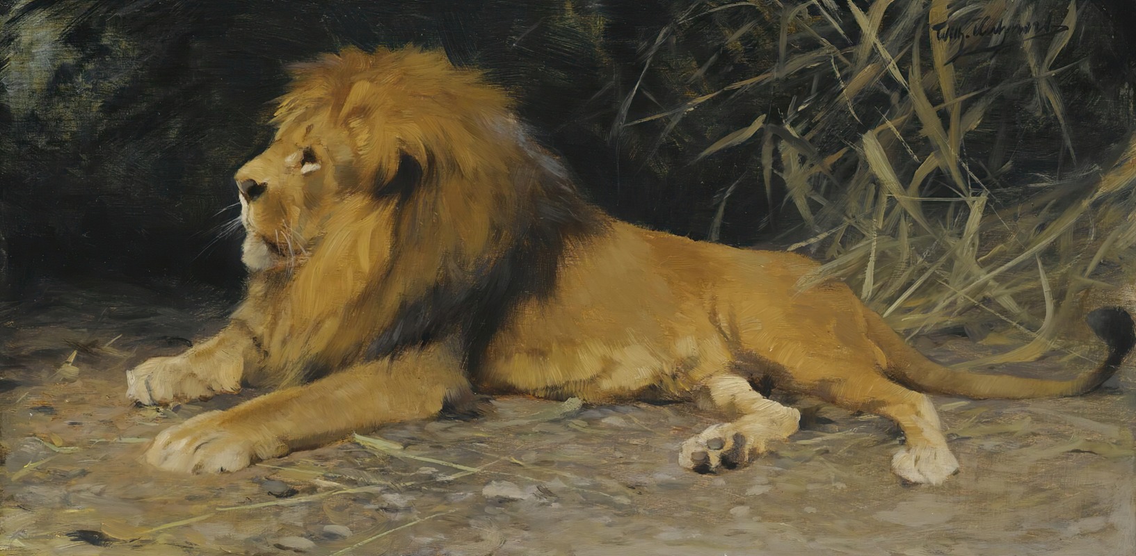 Wilhelm Kuhnert - Lion In His Den