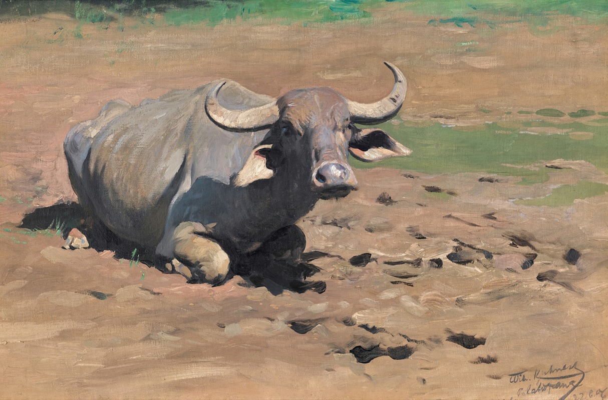 Wilhelm Kuhnert - Resting Buffalo