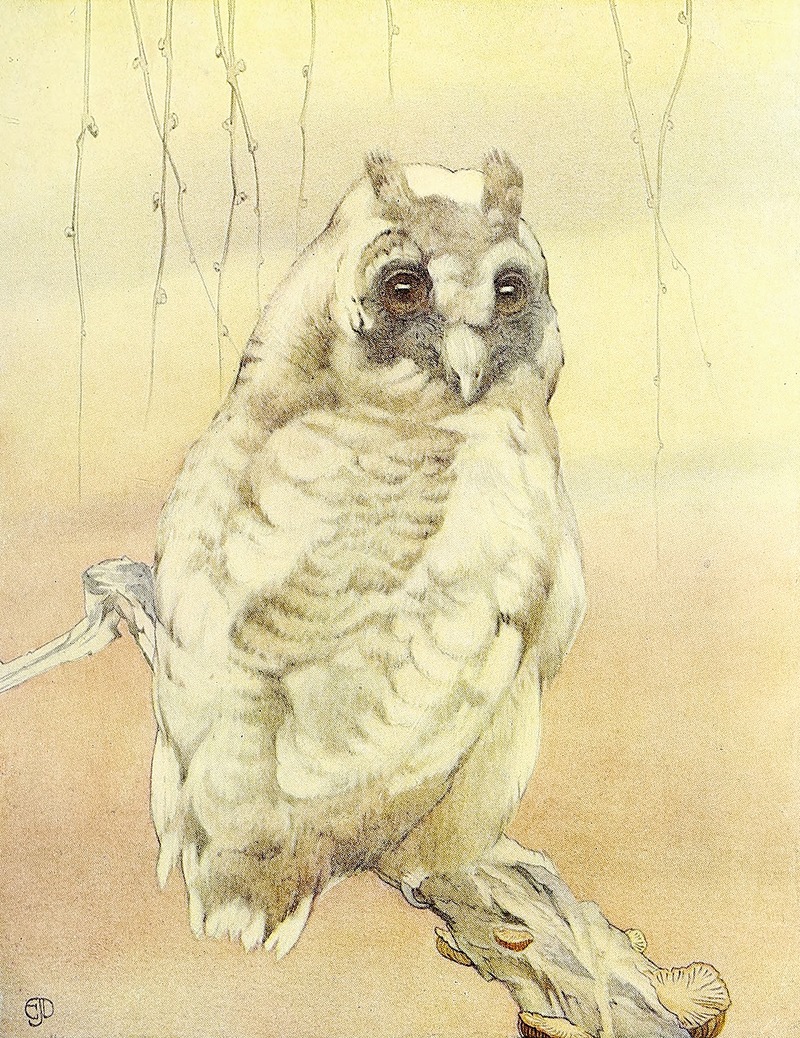 Edward Julius Detmold - The Long-Eared Owl