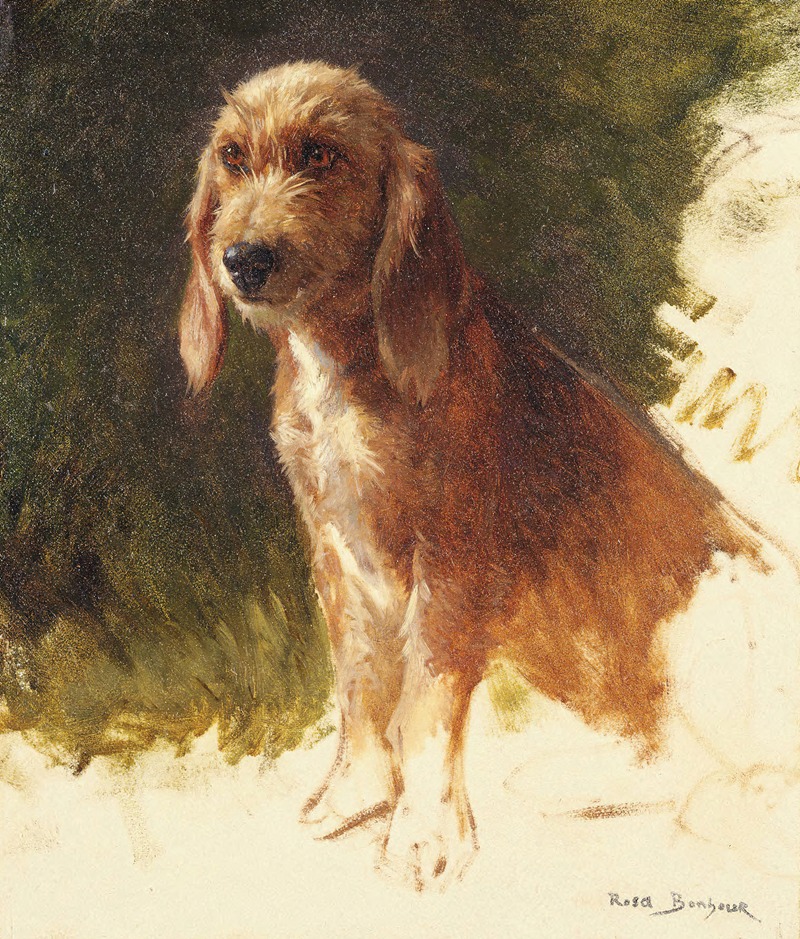 Rosa Bonheur - Study of a Dog