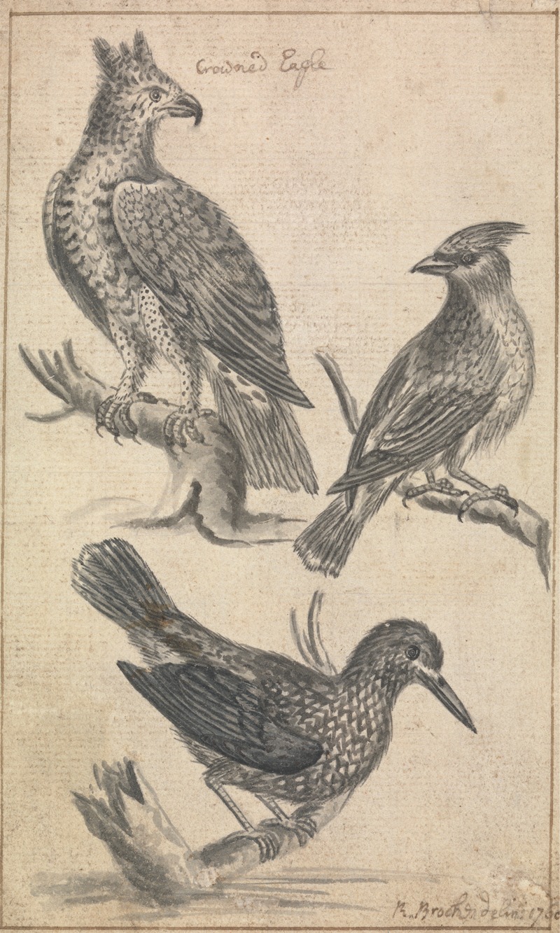 Richard Brookes - Crowned Eagle and Two Birds