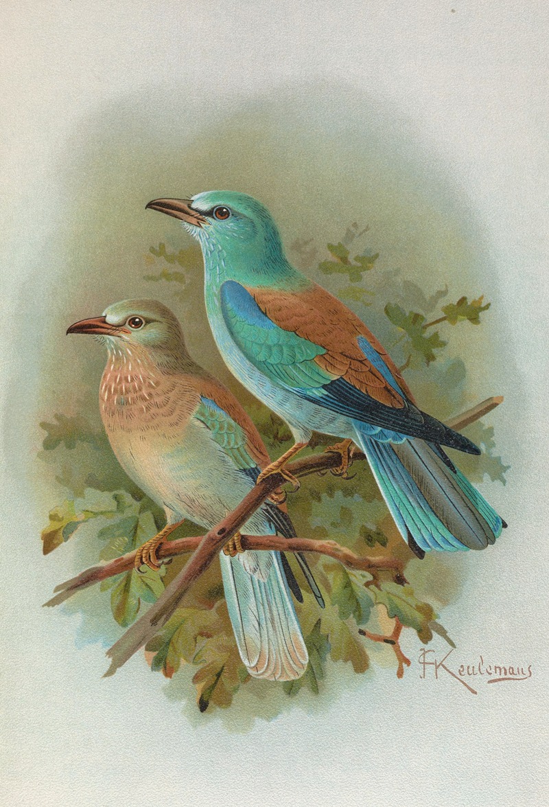 Coracias Garrula Artvee