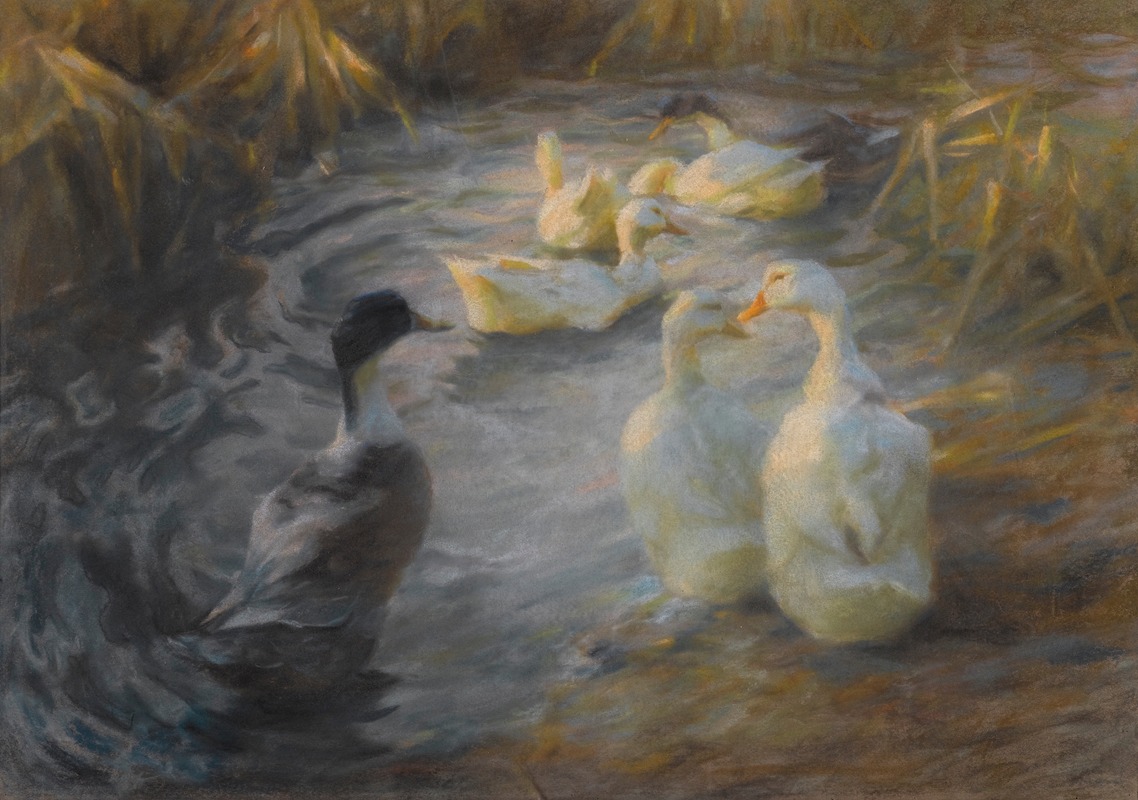 Alexander Koester - Ducks among reeds in a pond