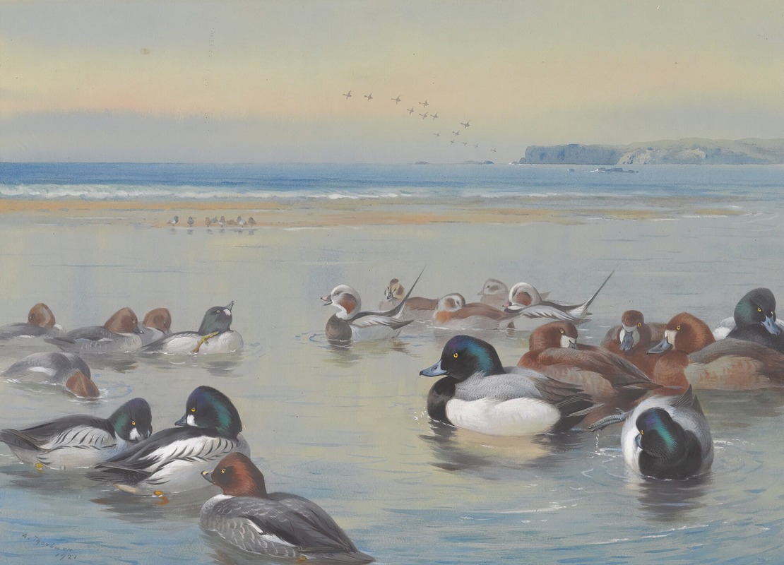 Archibald Thorburn - Ducks Along The Shoreline
