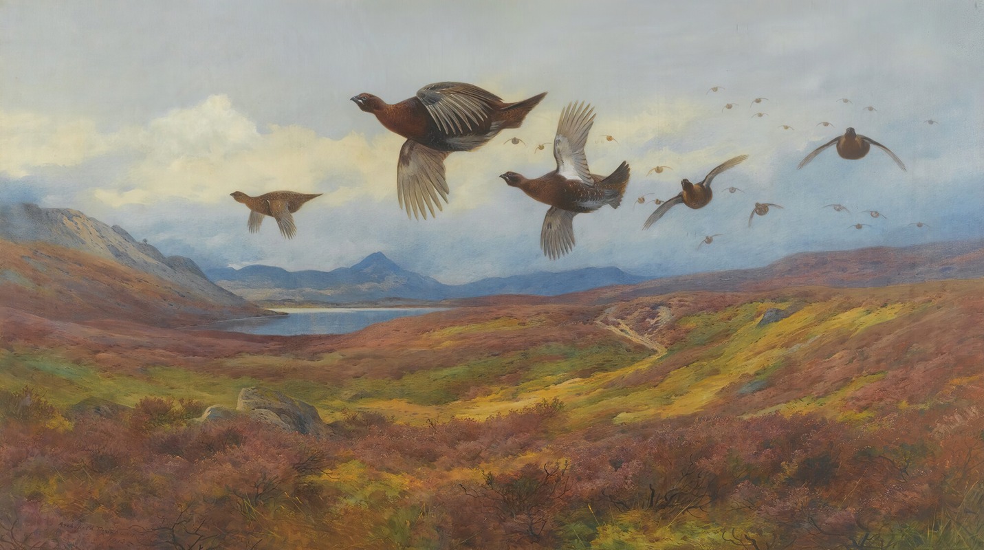 Archibald Thorburn - Swerving From The Guns-Red Grouse