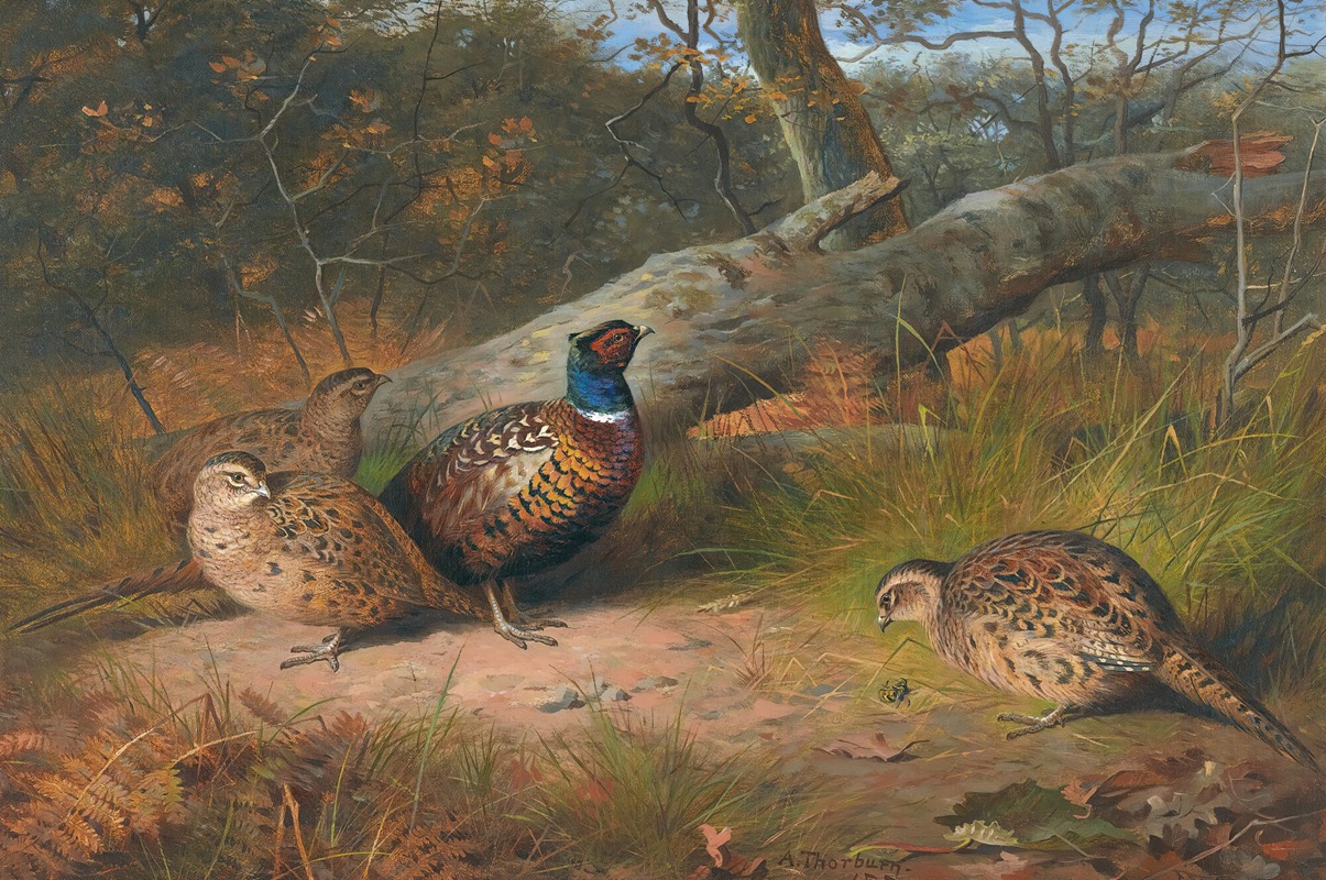Archibald Thorburn - The Fallen Beech- A Cock And Three Hen Pheasants With A Wasp