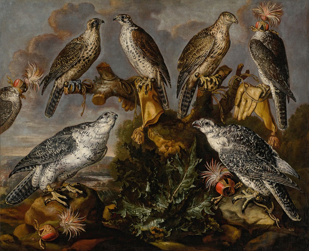 Carstian Luyckx - A group of seven Lanner and Peregrine or Gyrfalcons