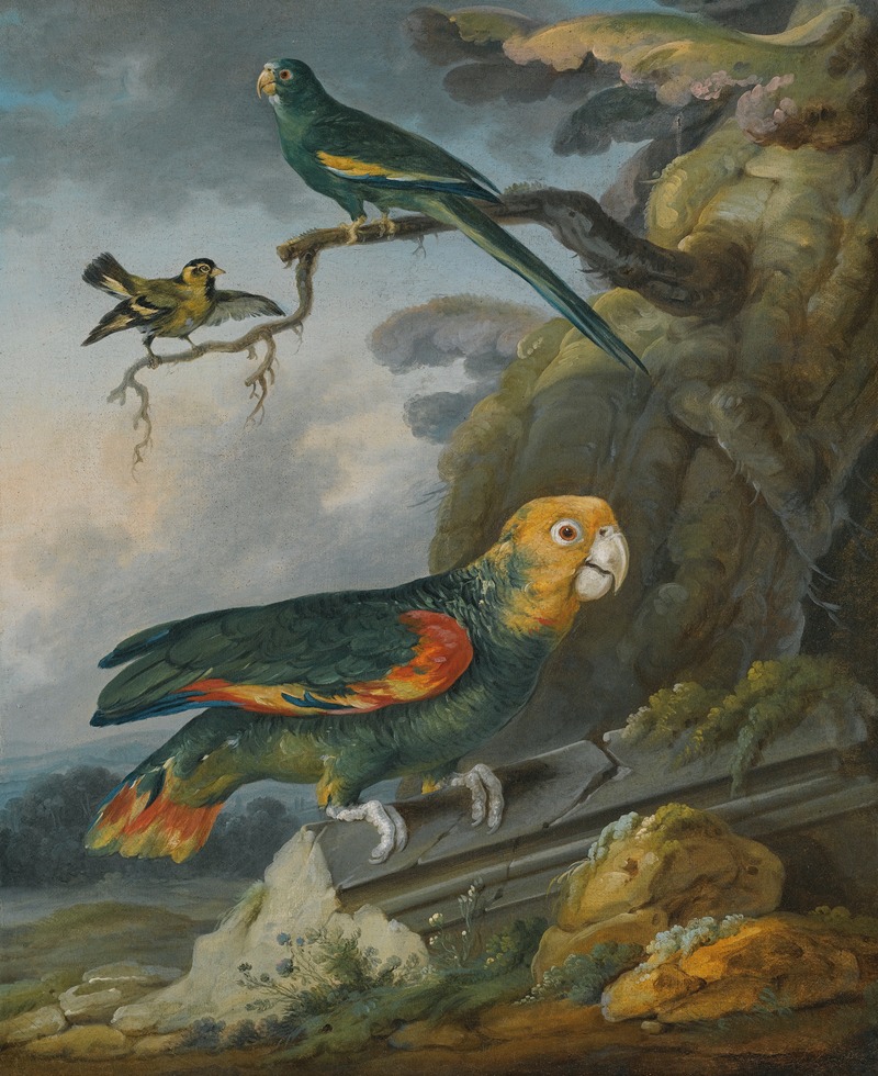 Christophe Huet - A Parrot, A Perroquet And A Gold Finch At The Base Of A Tree