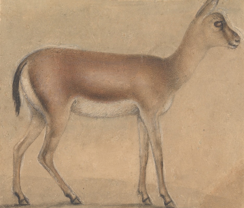 Circle of Michelino da Besozzo - A Gazelle In Profile, Moving Toward The Right
