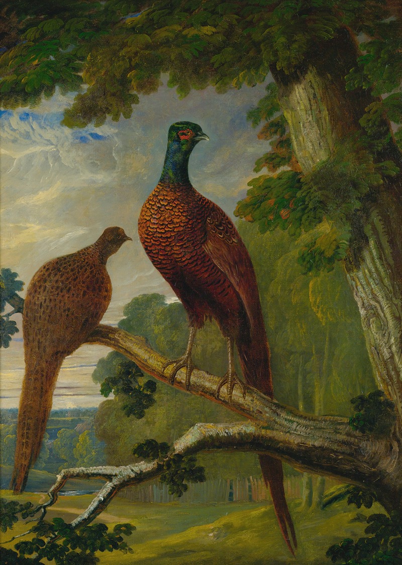 John Frederick Herring Snr. - A Pheasant Cock And Hen