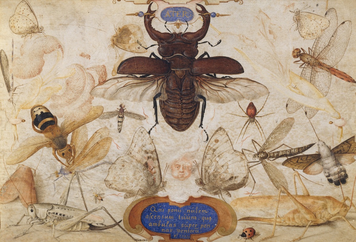 Joris Hoefnagel - Insects and the Head of a Wind God