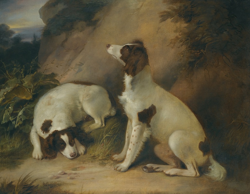 Richard Livesay - Two springer spaniels in a rocky landscape