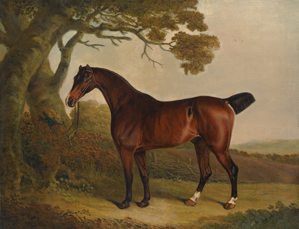 Thomas Weaver - A bay horse tethered to a tree in a landscape