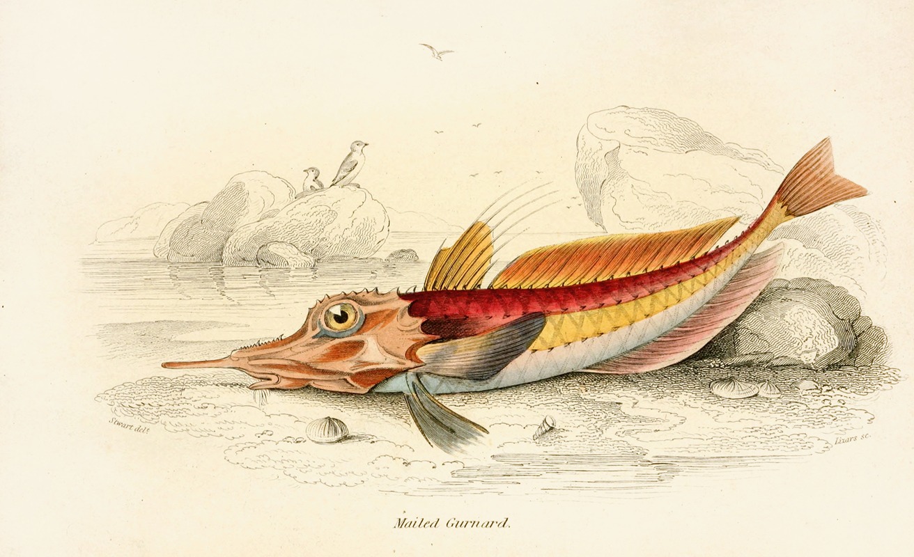 Robert Hamilton - Mailed Gurnard