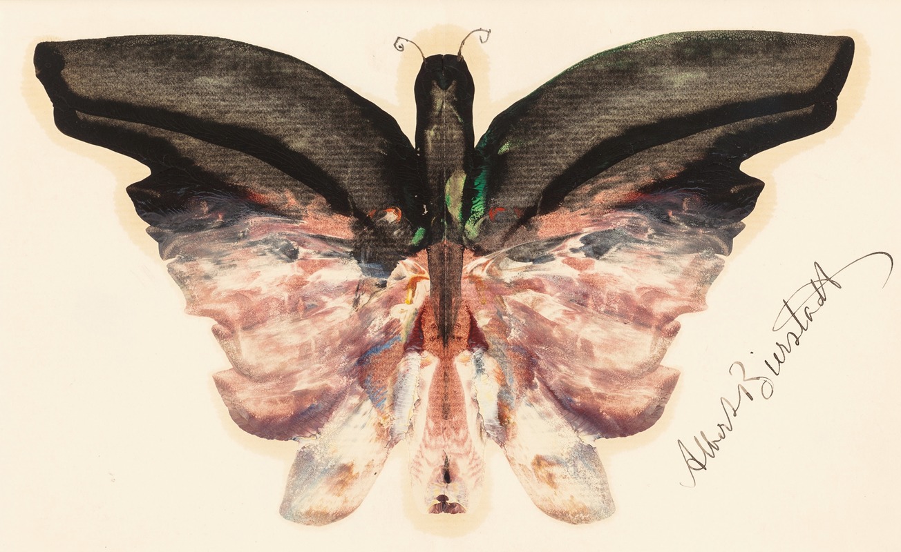 Albert Bierstadt - Pink Butterfly