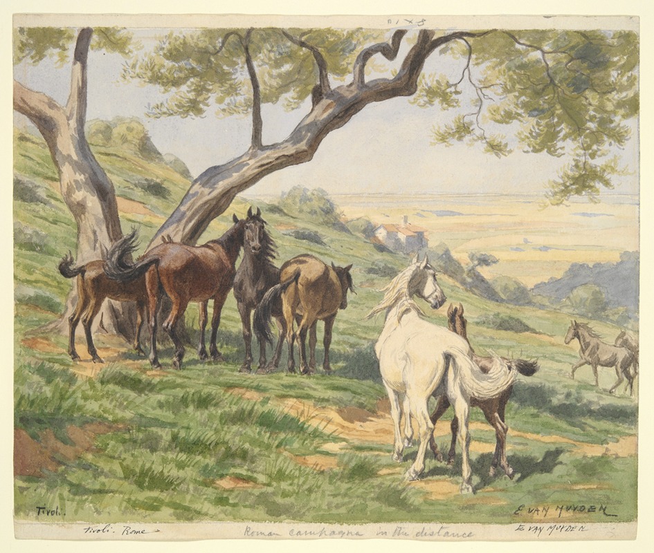 Horses in Field, Tivoli by Evart Louis Van Muyden - Artvee