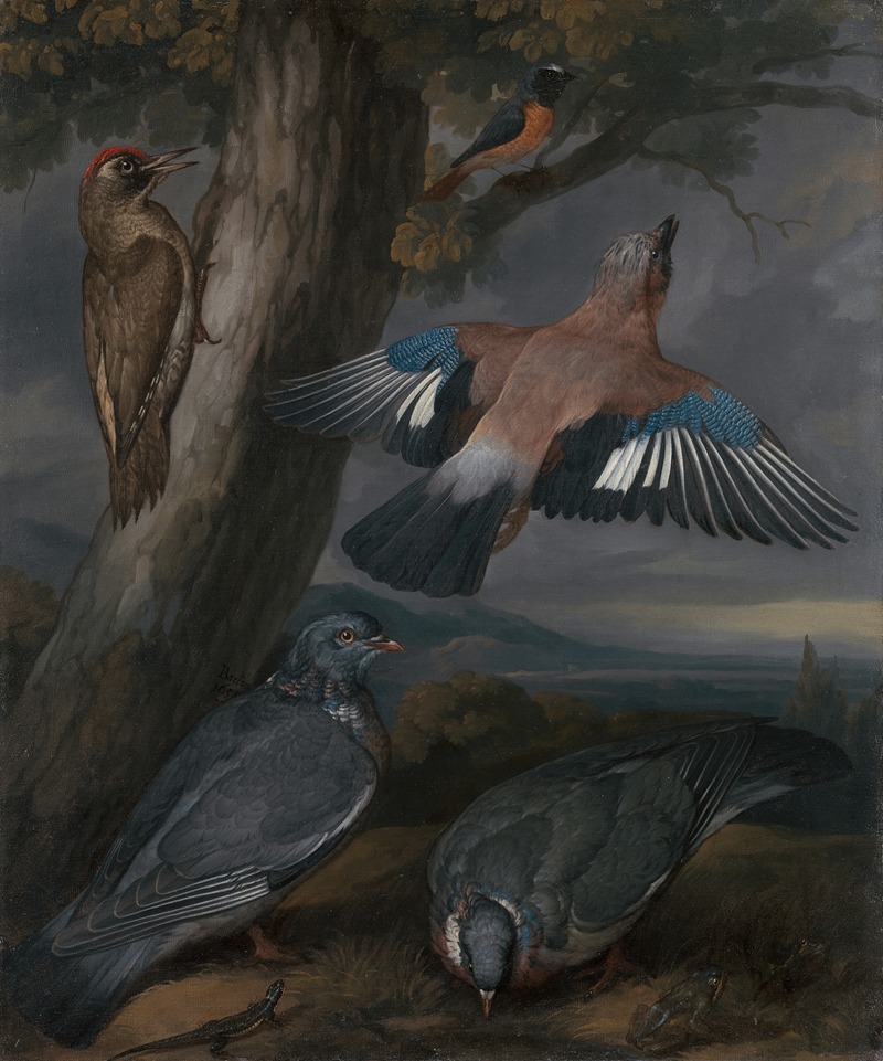Francis Barlow - Jay, Green Woodpecker, Pigeons, and Redstart Landscape with a Green Woodpecker, a Jay, Two Pigeons, a Redstart, a Lizard and Two Frogs