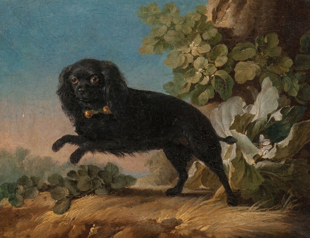 Jean-Jacques Bachelier - Mimi, le chien favorite de madame de Pompadour