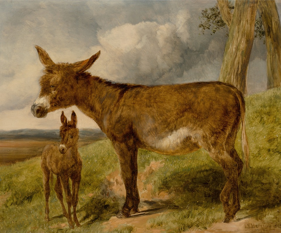 John Frederick Herring Snr. - Donkeys